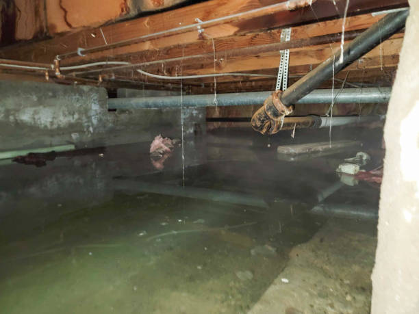Best 24-hour water damage restoration  in Bel Air South, MD