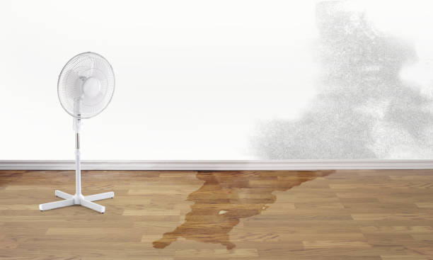 Best Water damage contractors near me  in Bel Air South, MD