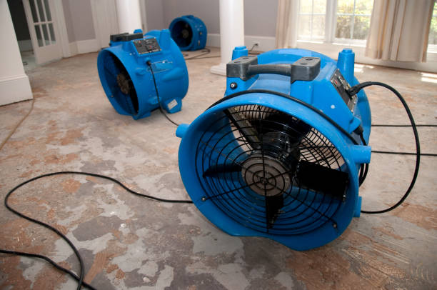 Best 24/7 water damage repair  in Bel Air South, MD