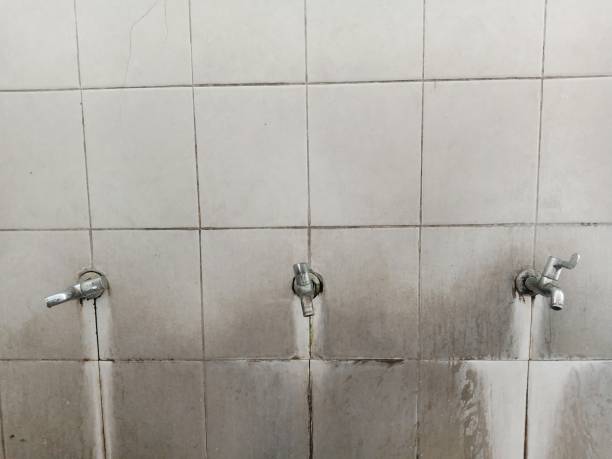 Best Flood damage cleanup  in Bel Air South, MD