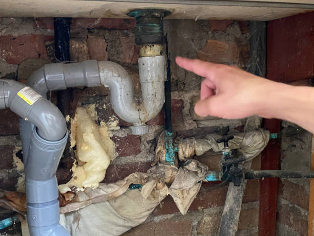 Water damage restoration mold remediation in Bel Air South, MD