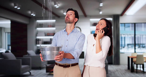 Best Water damage restoration near me  in Bel Air South, MD