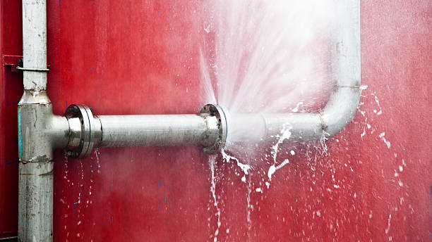 Best Carpet water damage restoration  in Bel Air South, MD
