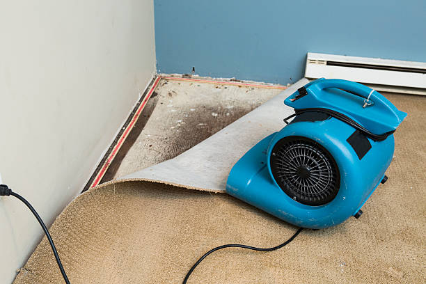Water damage restoration insurance claims in Bel Air South, MD